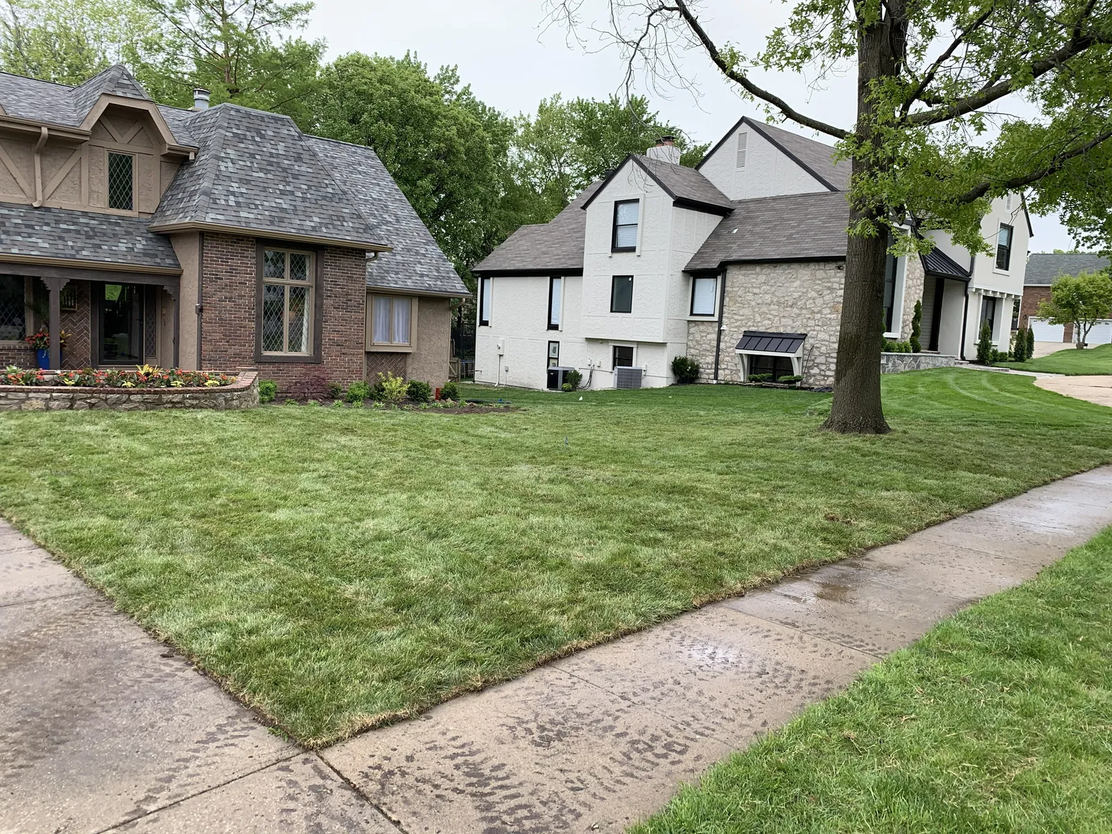 Sod installation and lawn restoration completed in South Kansas City, MO by Volz Lawn & Landscape