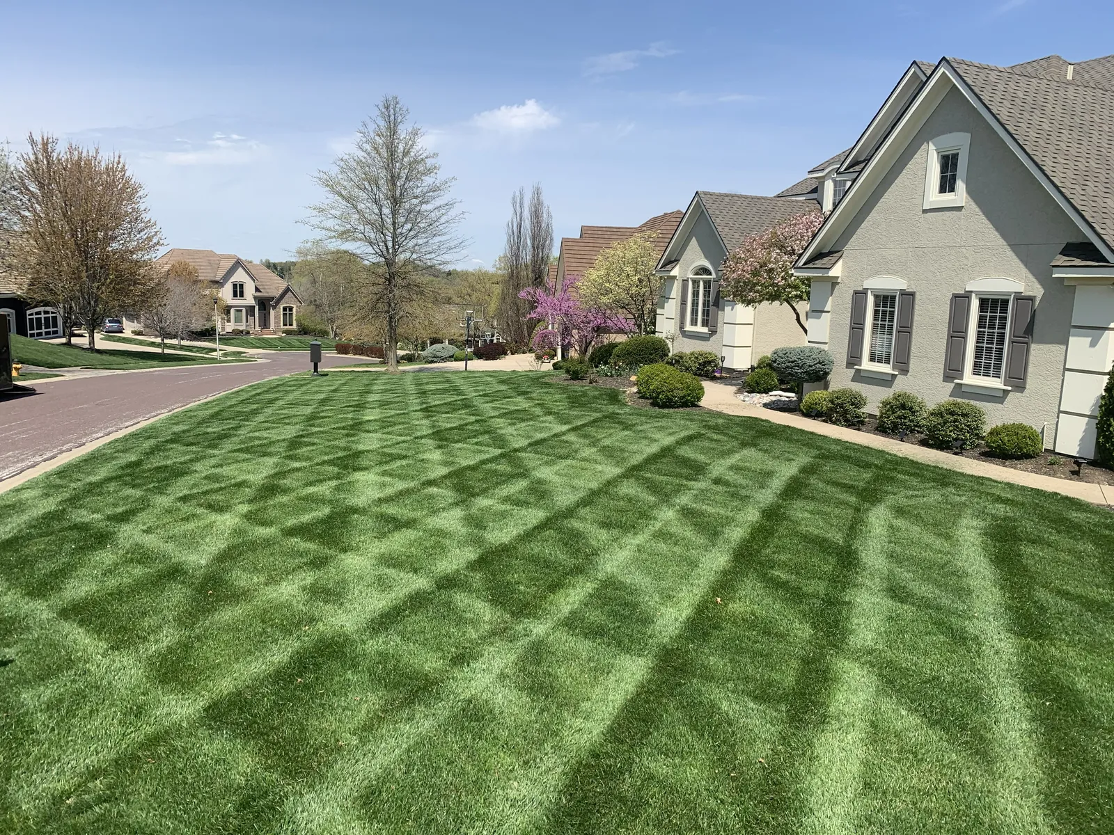Healthy striped lawn in Overland Park restored after grub treatment by Volz Lawn & Landscape