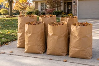 Collected fall leaves bagged for yard-waste removal at a Kansas City home