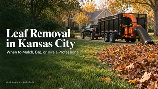 Leaf removal in Kansas City: when to mulch, bag, or hire a professional, with Volz Lawn & Landscape leaf vacuum truck