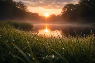 Lush green grass treated with Volz fertilization program