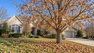 Overland Park, KS home with a mature oak dropping fall leaves across the front lawn before leaf removal