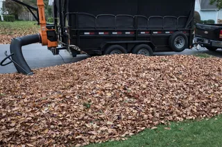 Professional fall and spring yard cleanup by Volz Lawn & Landscape
