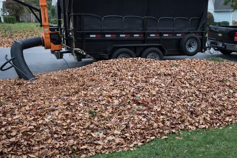 Leaf pickup service